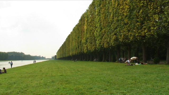 Long line of a shrubbery in the Versailles Palace gardens in France.