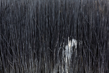 Close view of old black bristle paintbrush