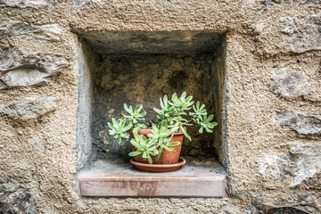 Fototapeta na wymiar Facade of a stone house with small window and pot with plant 