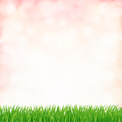 Fototapeta na wymiar spring background with green grass and sky. vector