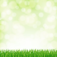 Obraz na płótnie Canvas spring background with green grass and sky. vector