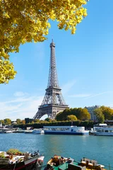  Eiffel tower and Seine river view with yellow autumn tree branch © andersphoto