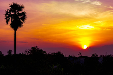 Sunset above the Village