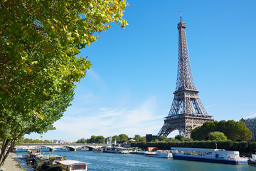 Eiffel tower and Seine river view with green tree branches, sunny