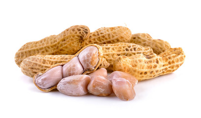 peanut on white background
