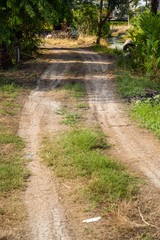 Fototapeta na wymiar dirt road in country Thailand