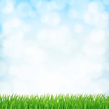 spring background with green grass and sky. vector