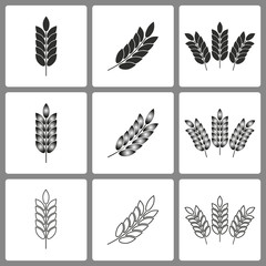  Set of Barley Icons.