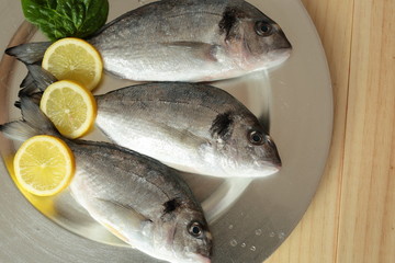 raw fish silver tray on wooden background pine
