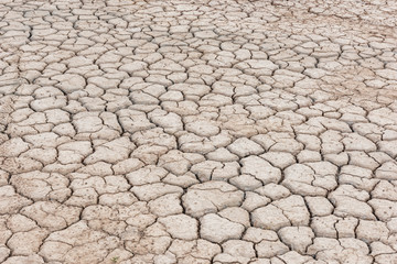 Desert landscape background