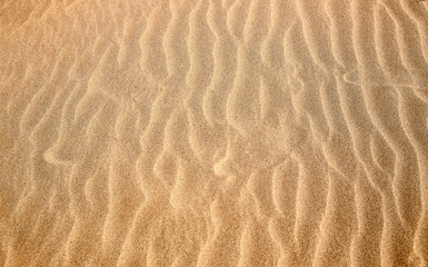 Fototapeta na wymiar Abstract sand texture for background