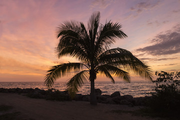Fototapeta na wymiar Key West Sunset