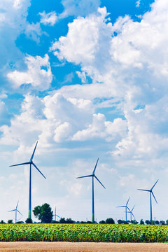 green energy feeld wind turbines
