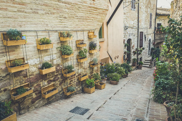 Street decorated with plants and flowers in the historic Italian city of Spello (Umbria, Italy)