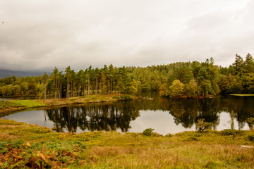 Fototapeta premium Tarn Hows in the Lake District,England