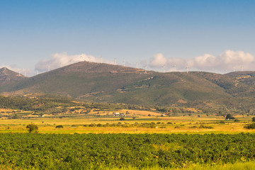 Obraz premium Landscape at Evia in Greece with a meadow and the wind turbines on top of the mountains. 
