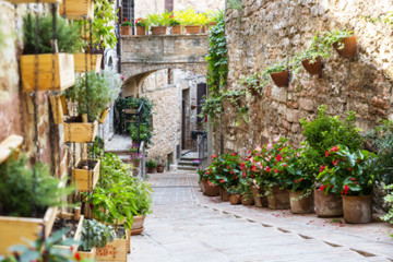 Fototapeta na wymiar Photography with Orton effect of a street decorated with plants and flowers in the historic Italian city of Spello (Umbria, Italy)