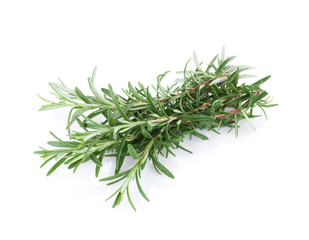 Fresh garden herbs. Rosemary