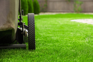 Lawn mower on green grass