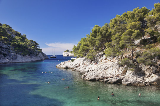 Les Calanques Port Pin, National Park, Cassis, Provence, Provence-Alpes-Cote d'Azur, Southern France, France