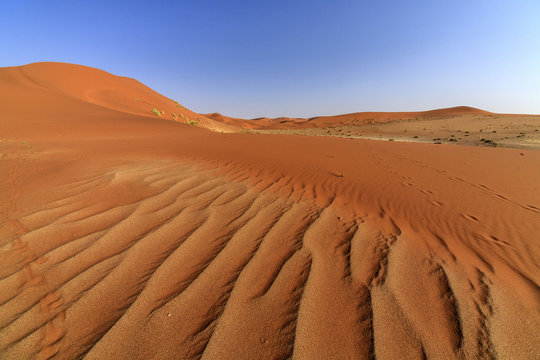 The shapes of sand constantly shaped by the wind, Deadvlei, Sossusvlei, Namib Desert, Namib Naukluft National Park, Namibia