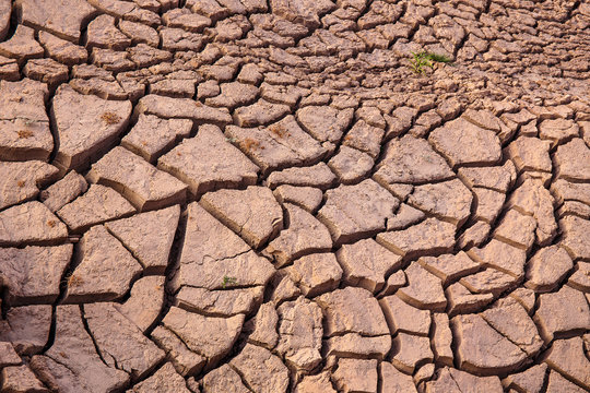 cracked earth near drying water