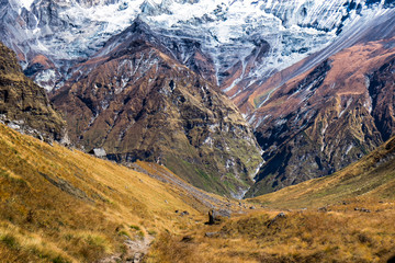Annapurna Conservation Area - 100213058