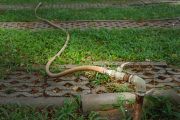 Hose water on green grass and equipment for gardening