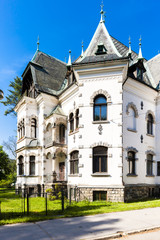 Fototapeta na wymiar villa of Riedl, Desna, Czech Republic