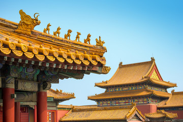 Fototapeta na wymiar Yellow roofs and ridge turrets at Forbidden City, Beijing