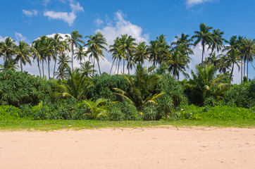Fototapeta na wymiar Tropical beach landscape