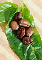 coffee beans