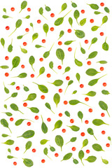Background of tomato and spinach