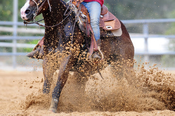 Obraz premium The rider is stopping the horse