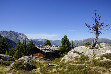 Hütte mit altem Baum