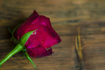 Róża na drewnianym,rustykalnym tle