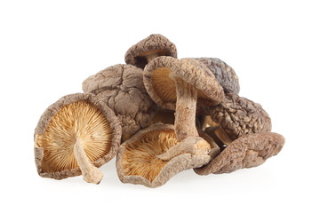 Dry Shiitake mushrooms isolated on white background