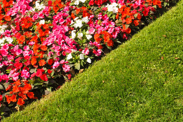 Garden detail