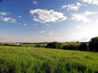 Countryside of summertime (picturesque landscape)