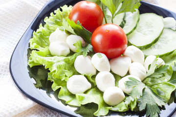 Mozzarella, tomatoes and sliced cucumber with green lettuce and parsley on black plate