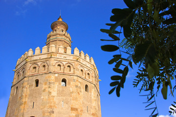 Fototapeta na wymiar Torre del Oro in Sevilla