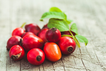 Dogrose fruits © oksix