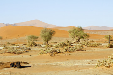 Fototapeta na wymiar Namibia desert, Africa - panoramic view