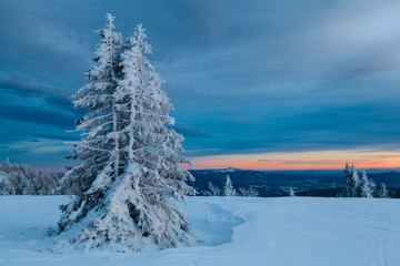 Obraz premium Winterlandschaft