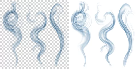 Fototapeten Set of translucent light blue smoke on transparent and white background. Transparency only in vector format © Olga Moonlight