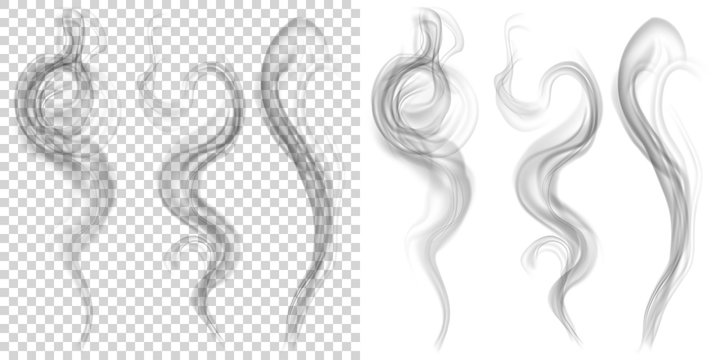 Set of translucent gray smoke on transparent and white background. Transparency only in vector format