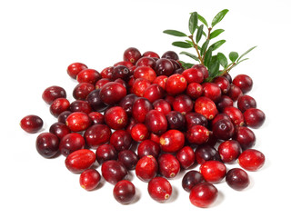 Cranberries
