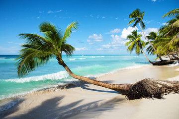 caribbean tropical sea