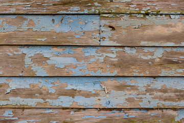 Detailed close view of old, chipping crackled blue paint on wood siding wall