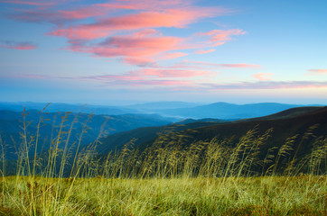 Obraz premium evening mountain plateau landscape (Carpathian, Ukraine)